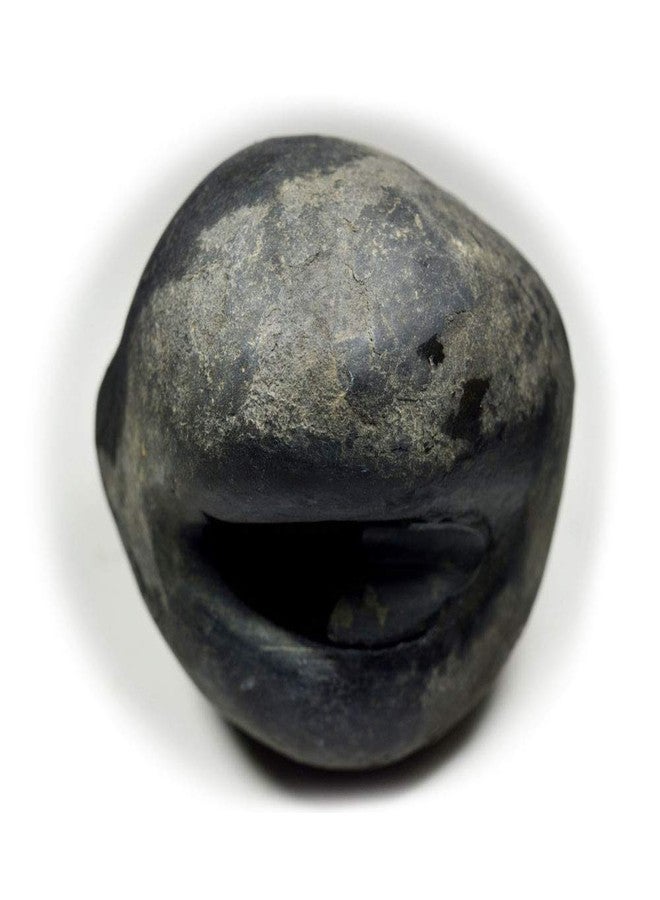 غلوبال حجر سانتان جوبال شاليجرام شيلا الأصلي العالمي من نهر غانداكي في نيبال لورد فيشنو، تولسي بوجا - Image 3